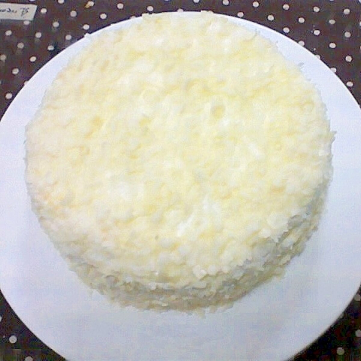 選択 植木 ヘルパー ホワイト チョコ ケーキ Justsampark Org